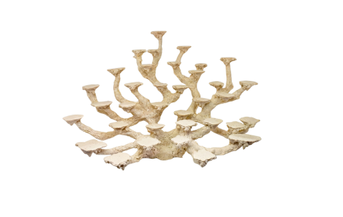 Diseño sin título Coralera 34 posiciones