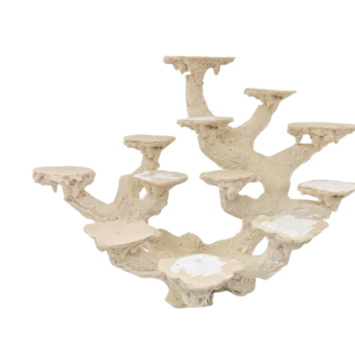 Sin título (1200 x 1200 px) (1600 x 900 px) (1) Coralera 12 posiciones