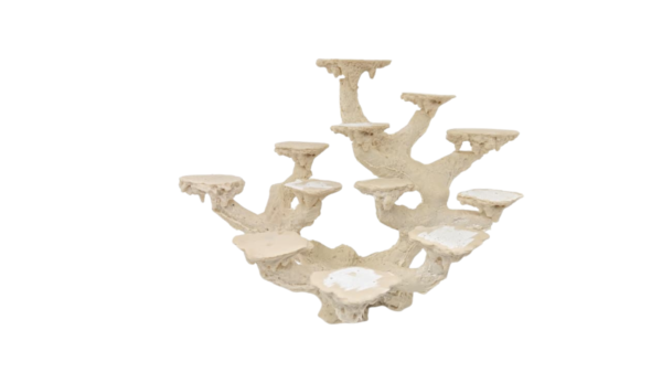 Coralera 12 posiciones