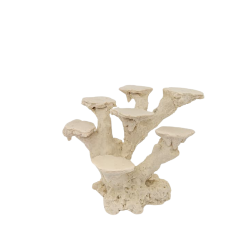 Sin título (1200 x 1200 px) (1600 x 900 px) Coralera 7 posiciones