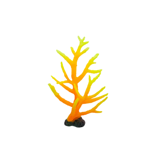 Sin título (1200 x 1200 px) (1600 x 900 px) (6) Acropora Orange