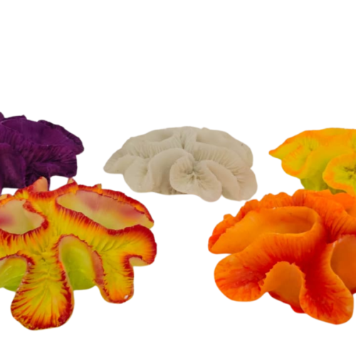 Sin título (1200 x 1200 px) (1600 x 900 px) (9) Lobophillia