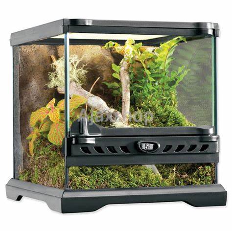 2599 Exo Terra Nano Wide Terrarium 20 x 20 x 20 cm