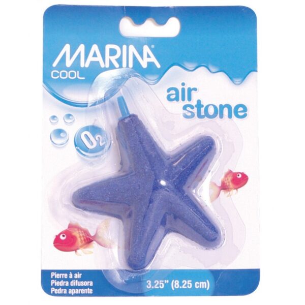 Marina Cool DIBUJO ESTRELLA DE MAR (difusora)
