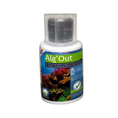 Alg Out nano 100 ml  (rinde 400 litros) complejo antialgas