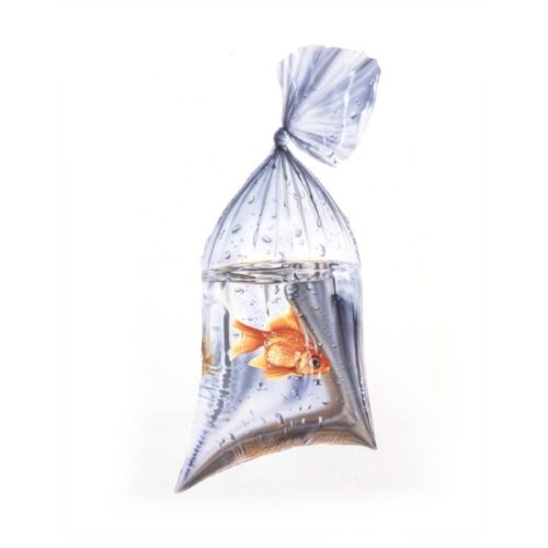 bolsa 45 micrones Bettas 10 * 35