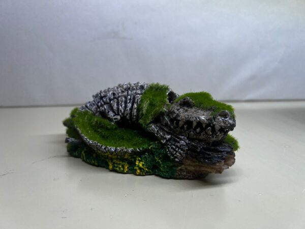fosil cocodrilo con musgo para aireador. Boca se abre