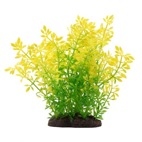 Fluval Aqualife Plant Scapes Sunrise Water Violet Plant - 20 cm