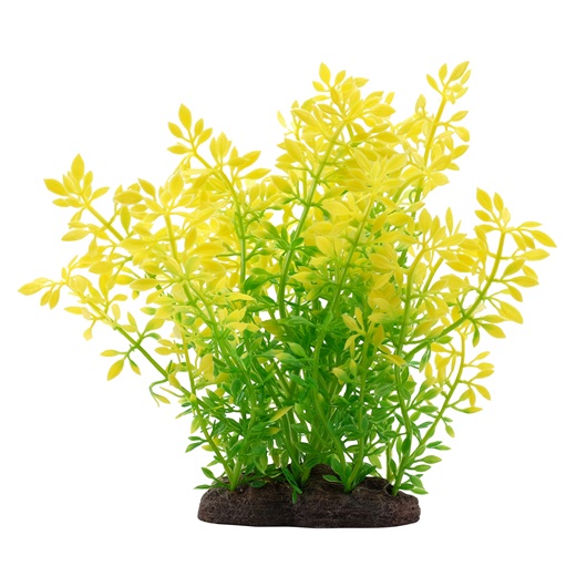 Fluval Aqualife Plant Scapes Sunrise Water Violet Plant - 20 cm