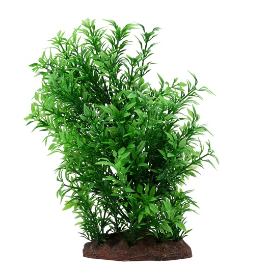 Fluval Aqualife Plant Scapes Large Bacopa Plant - 20 cm