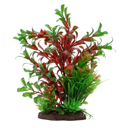 Fluval Aqualife Plant Scapes Red Ludwigia/Dwarf Sagittarius Plant Mix - 20 cm