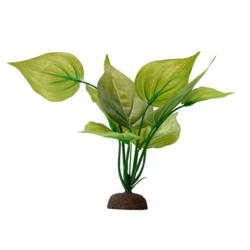 Fluval Aqualife Plant Scapes Variegated Lizard's Tail - 20 cm