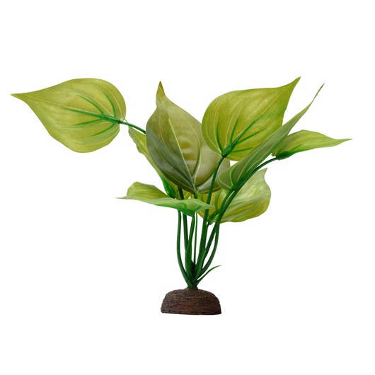 Fluval Aqualife Plant Scapes Variegated Lizard's Tail - 20 cm