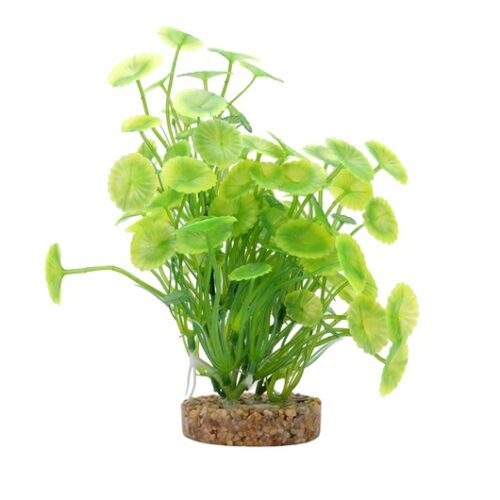 Fluval Aqualife Plant Scapes Yellow-Green Lysimachia - 20 cm