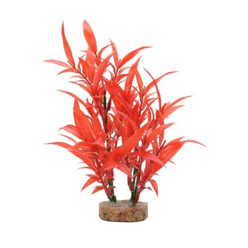 Fluval Aqualife Plant Scapes Intense Red Hygrophila - 20 cm