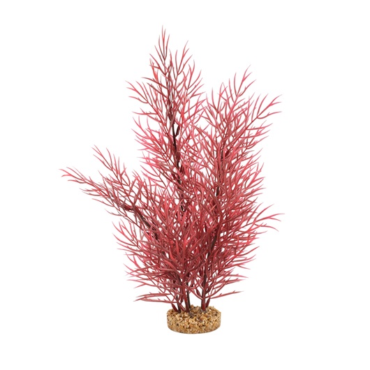 Fluval Aqualife Plant Scapes Scarlet Eichornea - 35.5 cm