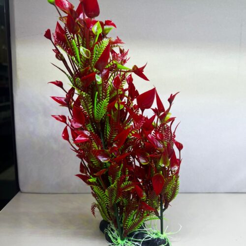 Planta ludwigia roja con base frondosa 30 cm