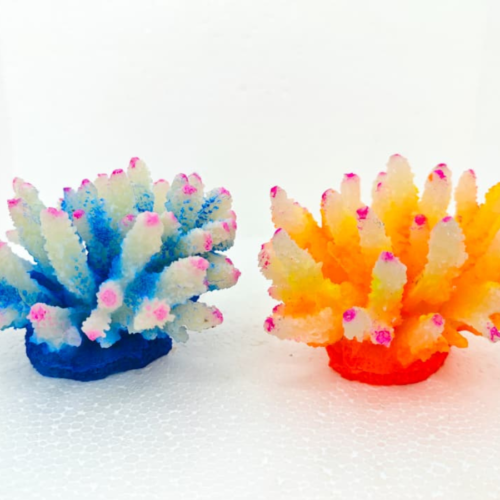 Acropora Orange Pink tip 14*9*14 cm