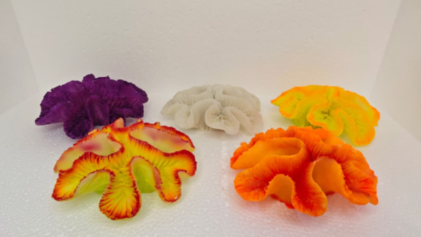 Lobophillia Yellow & red13*5*13 Cm