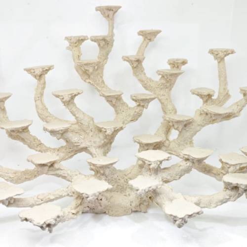 Base multiple corales 34 posiciones (52*33*33)