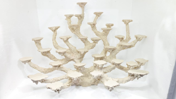 Base multiple corales 34 posiciones (52*33*33)