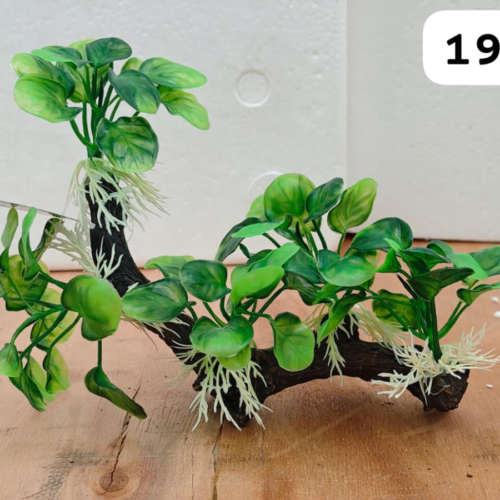 Tronco resina con Anubia nana en plastico,  20*10*20