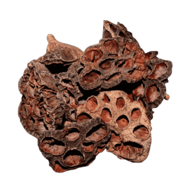 flor de loto seca, ideal para camarones, aquascape, aporta taninos al agua pack 3 unidades