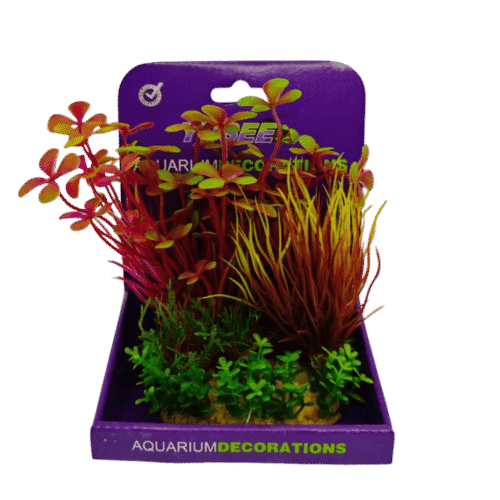 Planta plastica Combinada Marsilea crenata+lliliaopsis 17 cm base frondosa