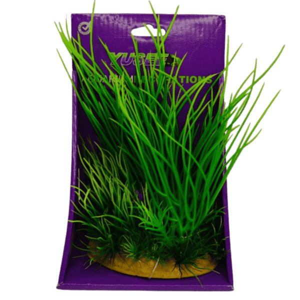 Planta plastica Liliaopsis+Heleocharis 20 cm base frondosa