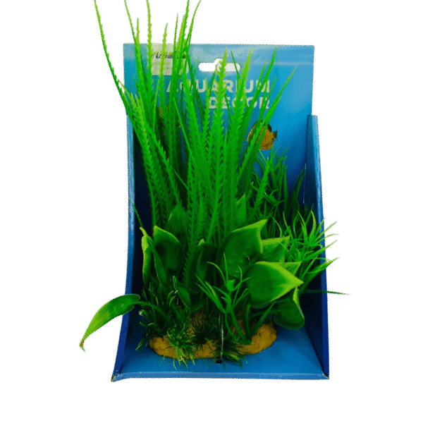 Planta plastica Criptocorine cordata+Proserpinaca palustris+L arcuata 20 cm base frondosa