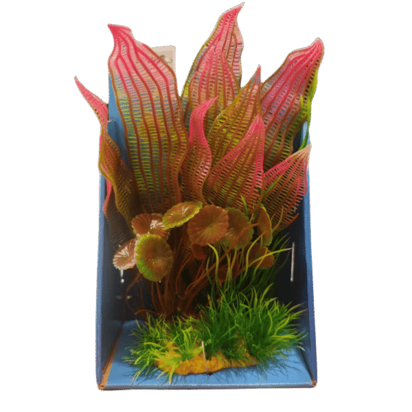 Planta plastica Hidrocotile+Madgadascarensis+liliaopsis 20cm base frondosa