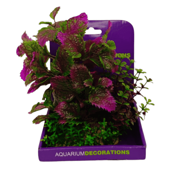 Planta plastica Hiptis lorenciana+Lobellia cardinalis 17 base frondosa