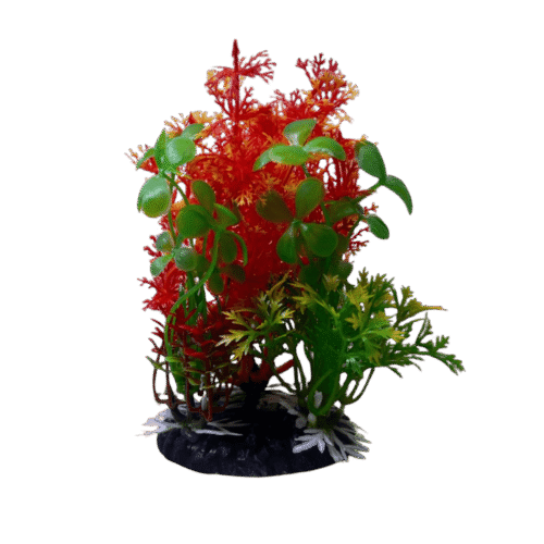 Plantas combinadas 10 cm . Varios diseños en una misma base solida y pesada