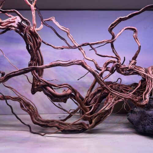 Maderas de vid, con formato tipo arco, oscuras y con mucha textura. Tamaños grandes de 50 a 80 cm. Livianas y Curadas. Precio por kilo