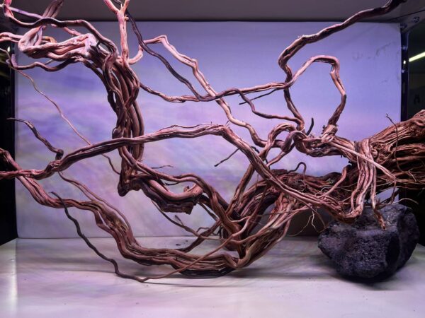 Maderas de vid, con formato tipo arco, oscuras y con mucha textura. Tamaños grandes de 50 a 80 cm. Livianas y Curadas. Precio por kilo