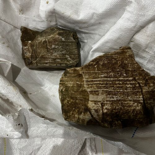 Goby Stone 8-25 cm Surtidas Kg