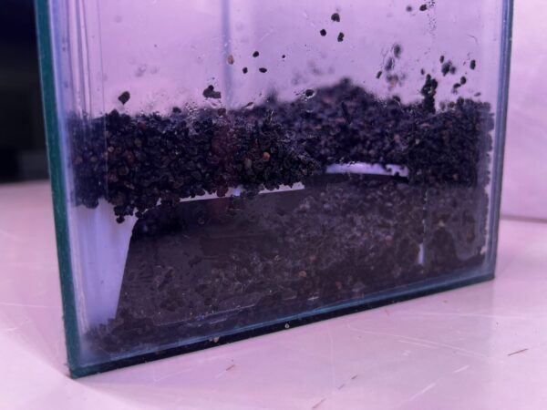 Cueva plastica esquinero, para enterrar y ver los peces