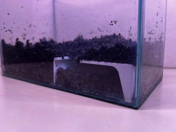 Cueva plastica esquinero, para enterrar y ver los peces