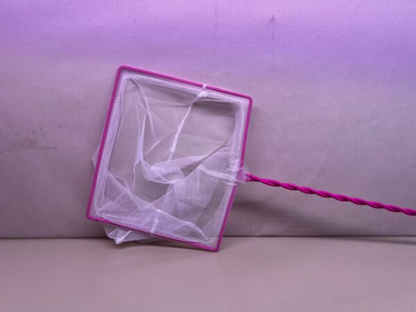 Red Blanca mango alambre  12 cm