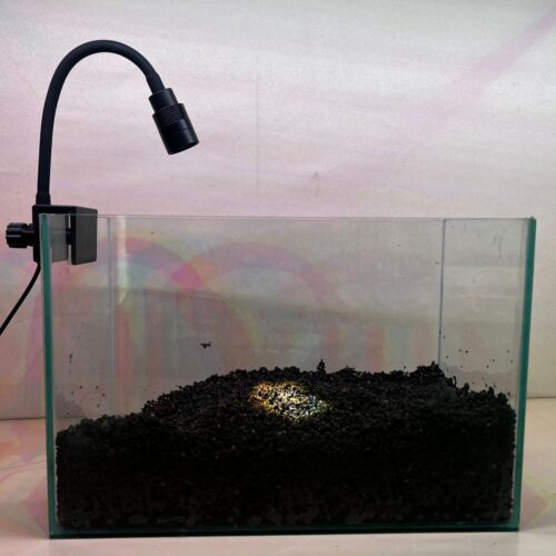 Luz calida spot 4,8 watts para vidrio hasta 10 mm con foco y angulo ajustable, dimmer y timmer con adaptador