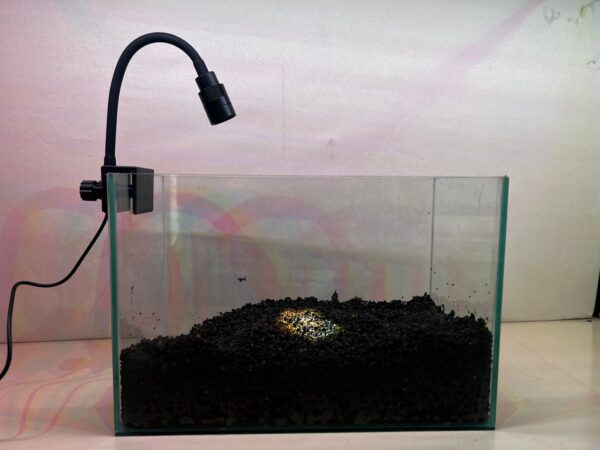 Luz calida spot 4,8 watts para vidrio hasta 10 mm con foco y angulo ajustable, dimmer y timmer con adaptador