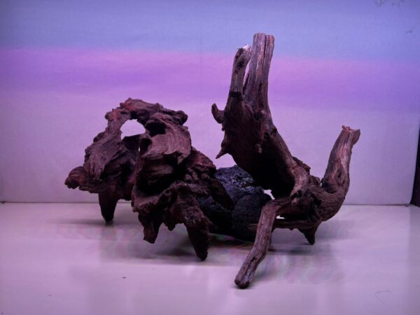 Drift wood mountain Super selección aquascape Precio Kg