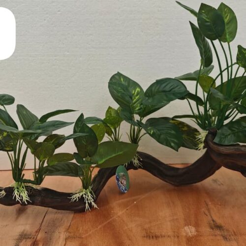 Tronco resina con Anubia Berteri en tela,(apoyo vidrio Izquierdo)  65*30*30