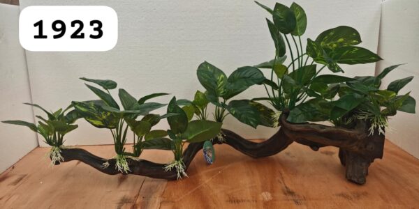 Tronco resina con Anubia Berteri en tela,(apoyo vidrio Izquierdo)  65*30*30