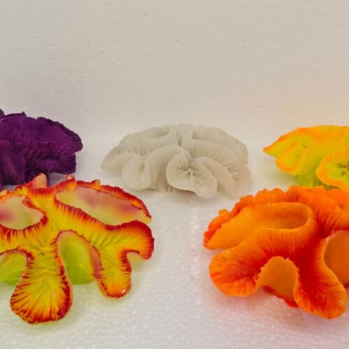 Lobophillia Orange 13*5*13 Cm