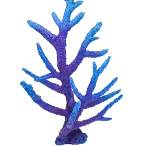 WhatsApp Image 2025-11-19 at 12.29.56 PM (1) Acropora Acropora Purple Blue 25*33*10 cm