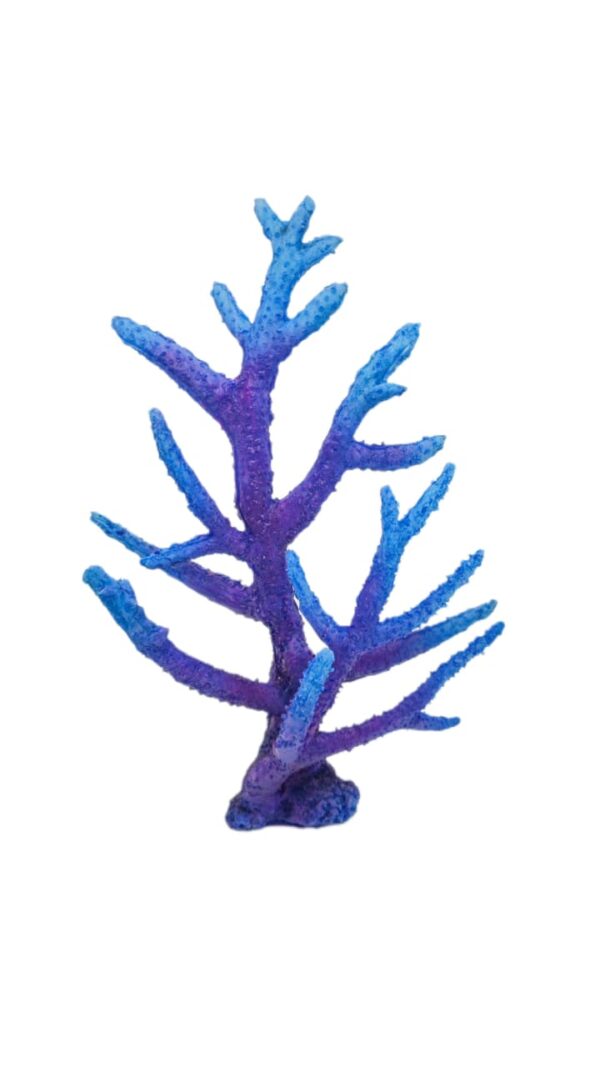 Acropora Acropora Purple Blue 25*33*10 cm