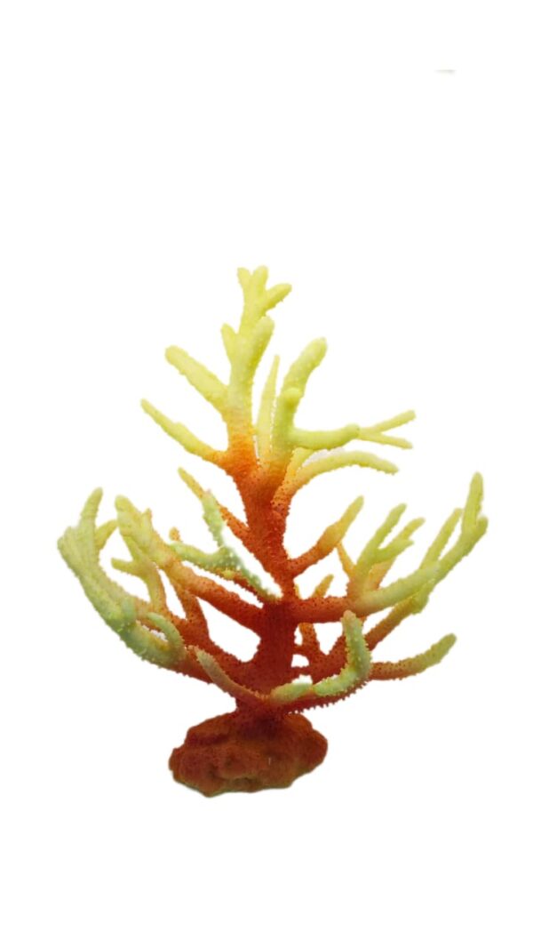 Acropora Yellow Pink 30*35*20 Cm