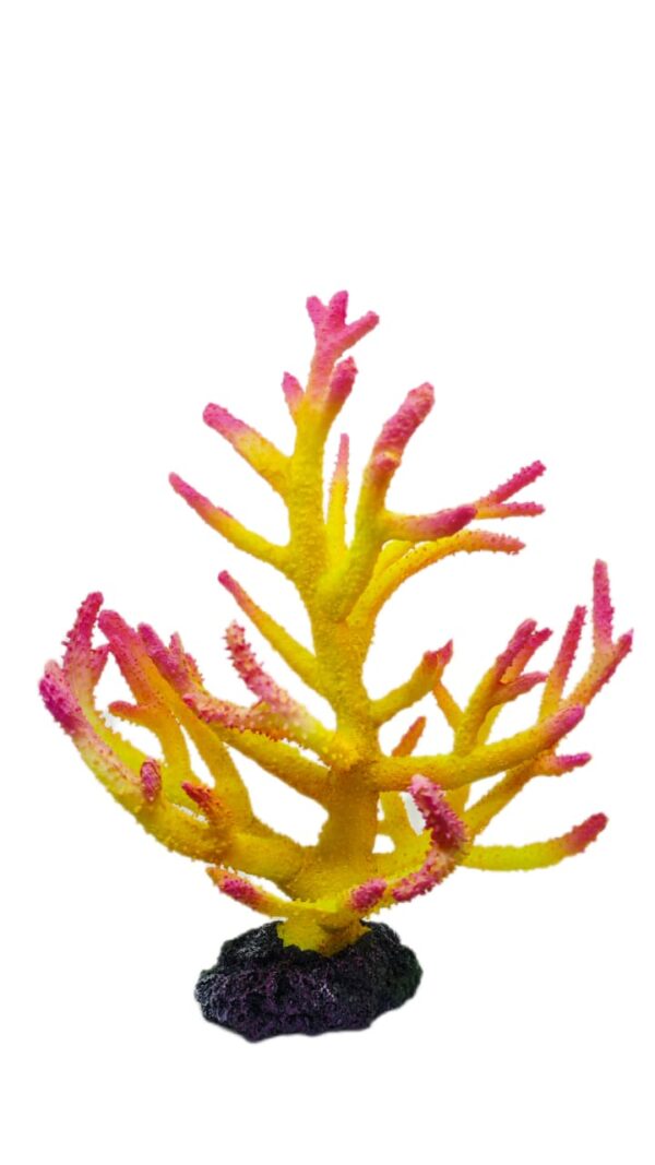 Acropora Yellow Pink 30*35*20 Cm