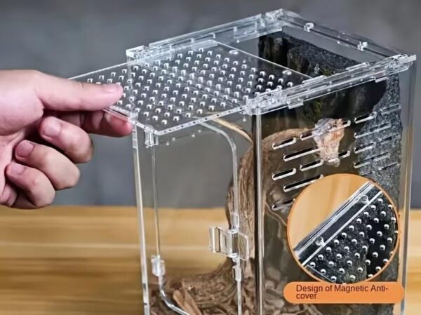 Contenedor acrilico exibidor, Gecos, ranas, Arañas arboricolas (puerta lateral apertura superios (15*25*15 cm)